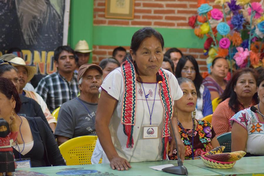 Congresso Nacional Indígena e Movimento Zapatista lançam candidata à Presidência do México