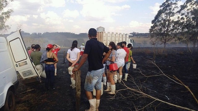 Cooperativa de orgânicos do Paraná é atacada com incêndio