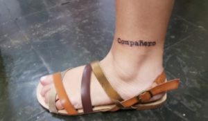 compañero