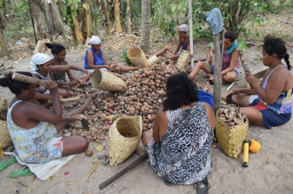 Quebradeiras De Coco Baba U Na Amaz Nia Luta Em Defesa Das