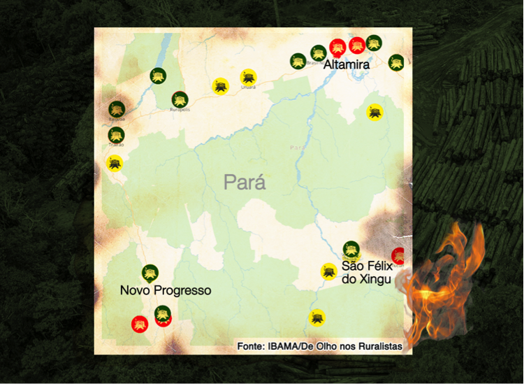 Mapa mostra, por município, os maiores multados por desmatamento nos últimos 25 anos