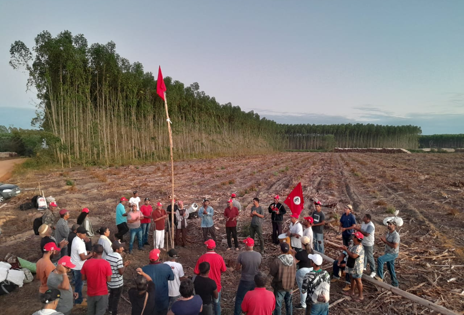 “Não comemos eucalipto”: MST ocupa área da Suzano na Bahia
