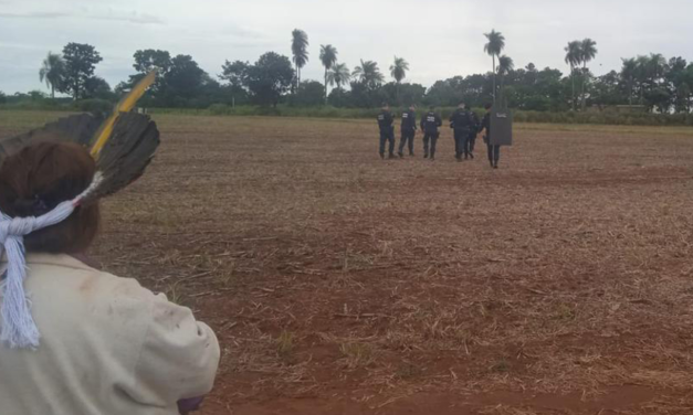 Indígenas Kaiowá e Guarani retomam território e sofrem ameaça de despejo