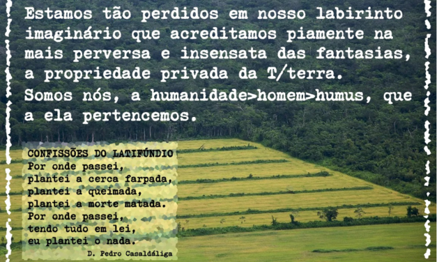 Por Dom Pedro Casaldáliga