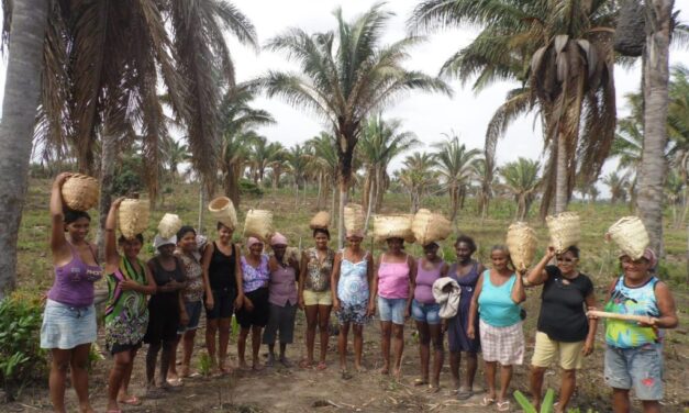 Governo do MA proíbe regularização fundiária de comunidades tradicionais, quilombolas e quebradeiras de coco